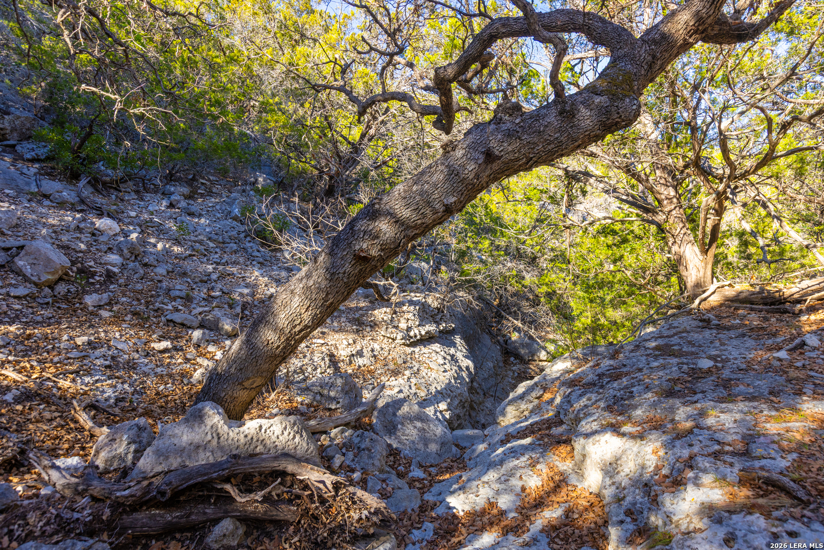 1030 Owl Hollow Leakey TX 78873