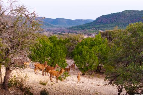 1030 Owl Hollow Leakey TX 78873