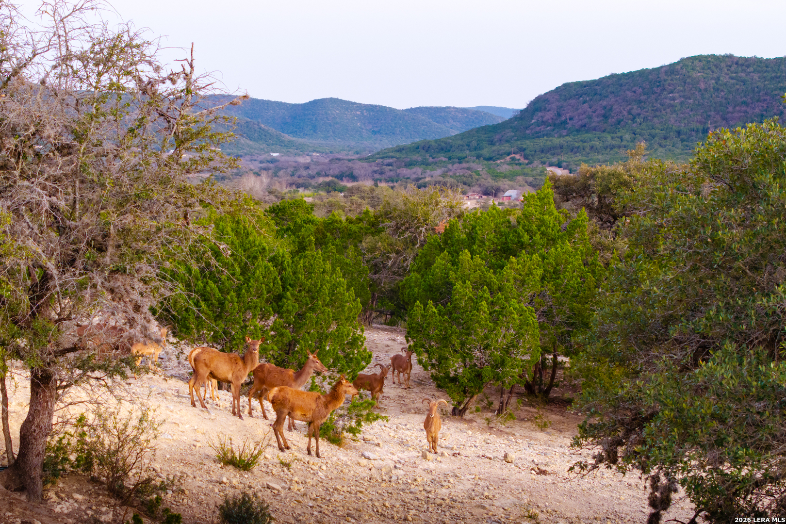 1030 Owl Hollow Leakey TX 78873