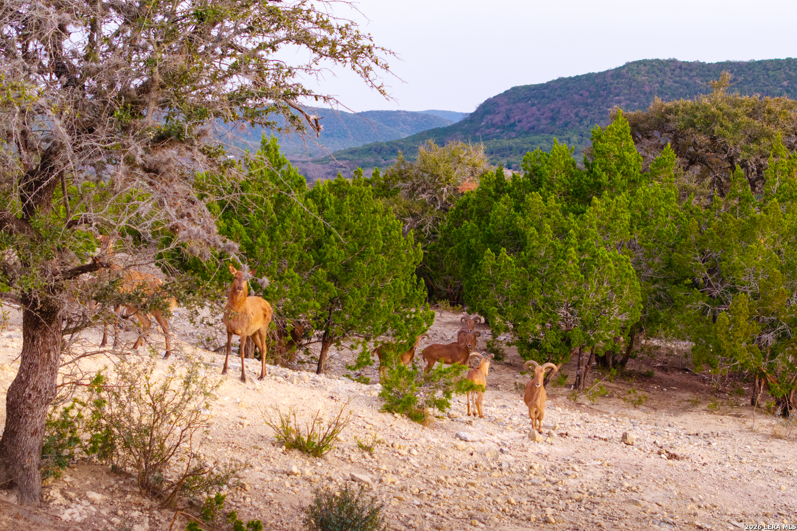 1030 Owl Hollow Leakey TX 78873