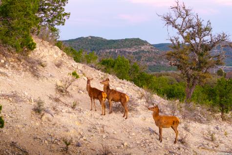 1030 Owl Hollow Leakey TX 78873