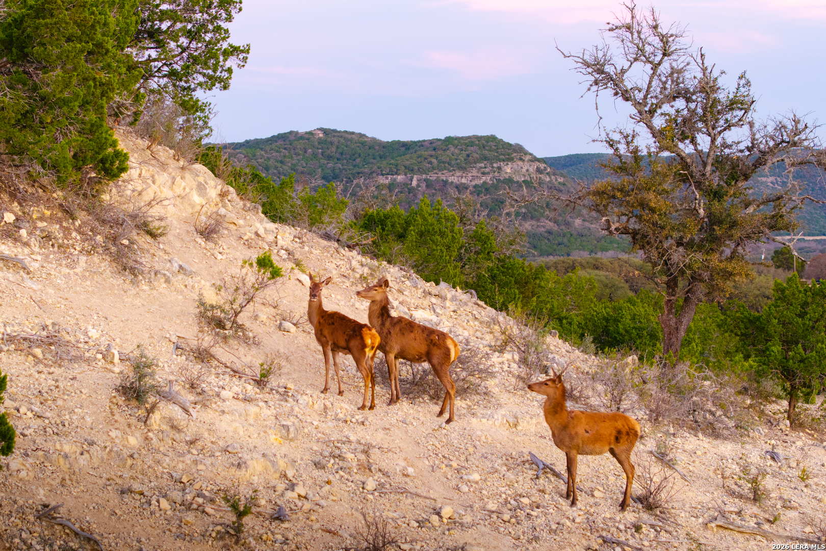 1030 Owl Hollow Leakey TX 78873