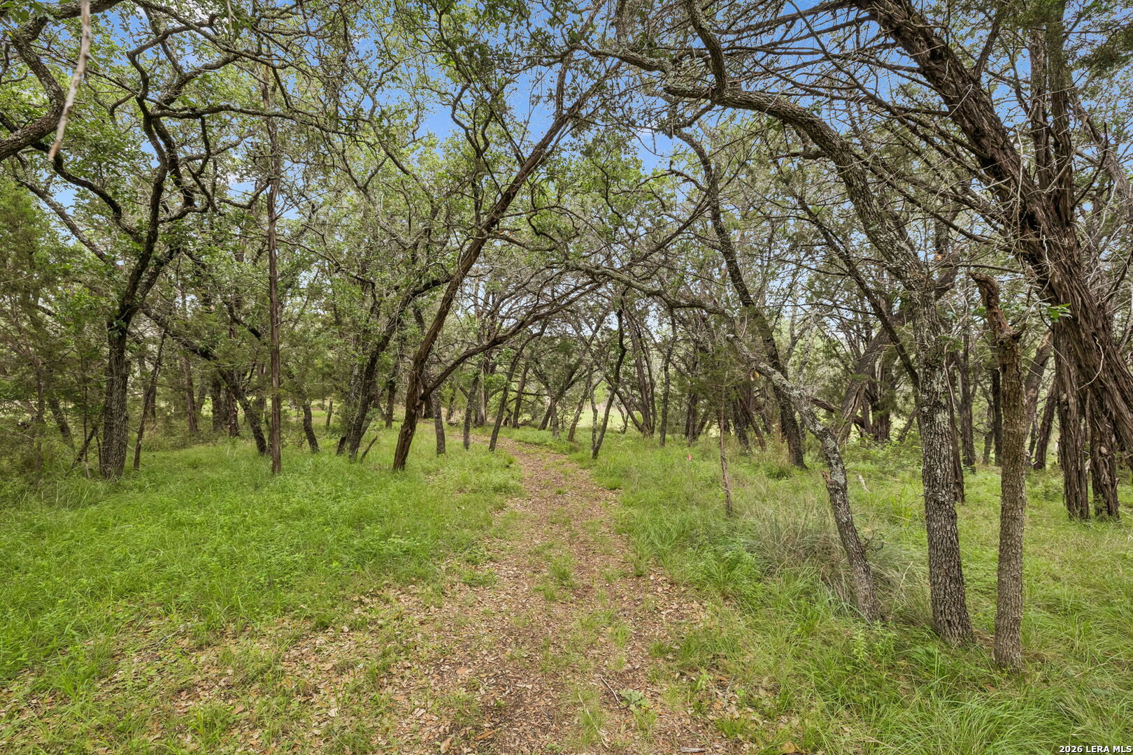 300 Bluff Road Spicewood TX 78669