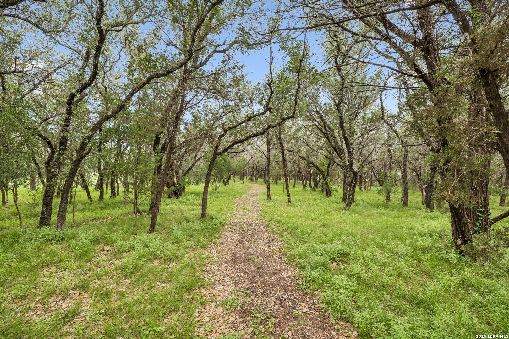 300 Bluff Road Spicewood TX 78669