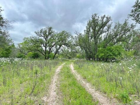 177.9 Ac Cr 7711 Devine TX 78016