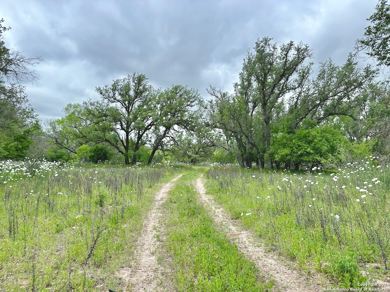 177.9 Ac Cr 7711 Devine TX 78016