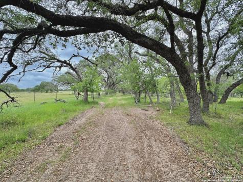 177.9 Ac Cr 7711 Devine TX 78016