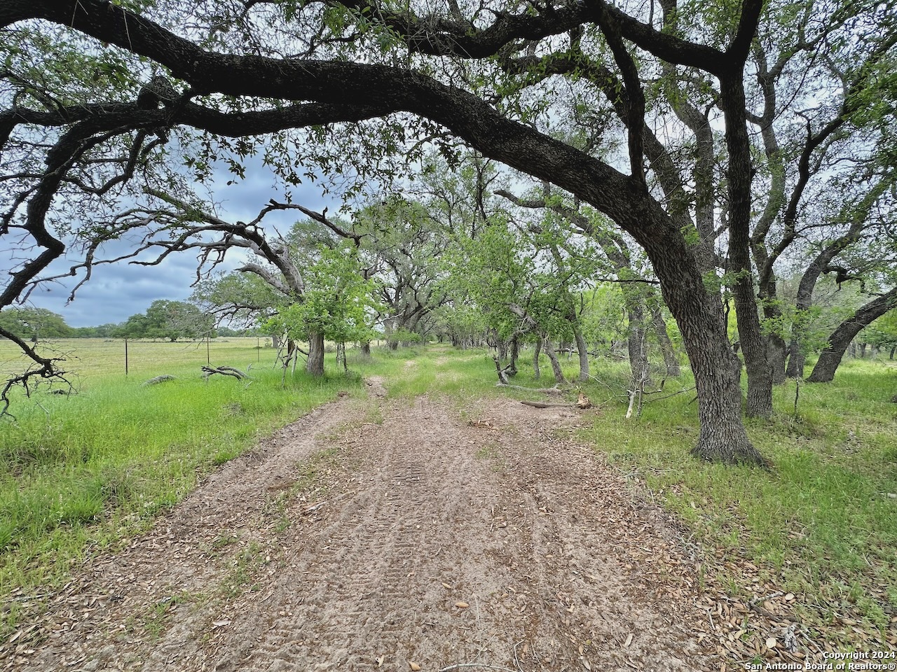 177.9 Ac Cr 7711 Devine TX 78016