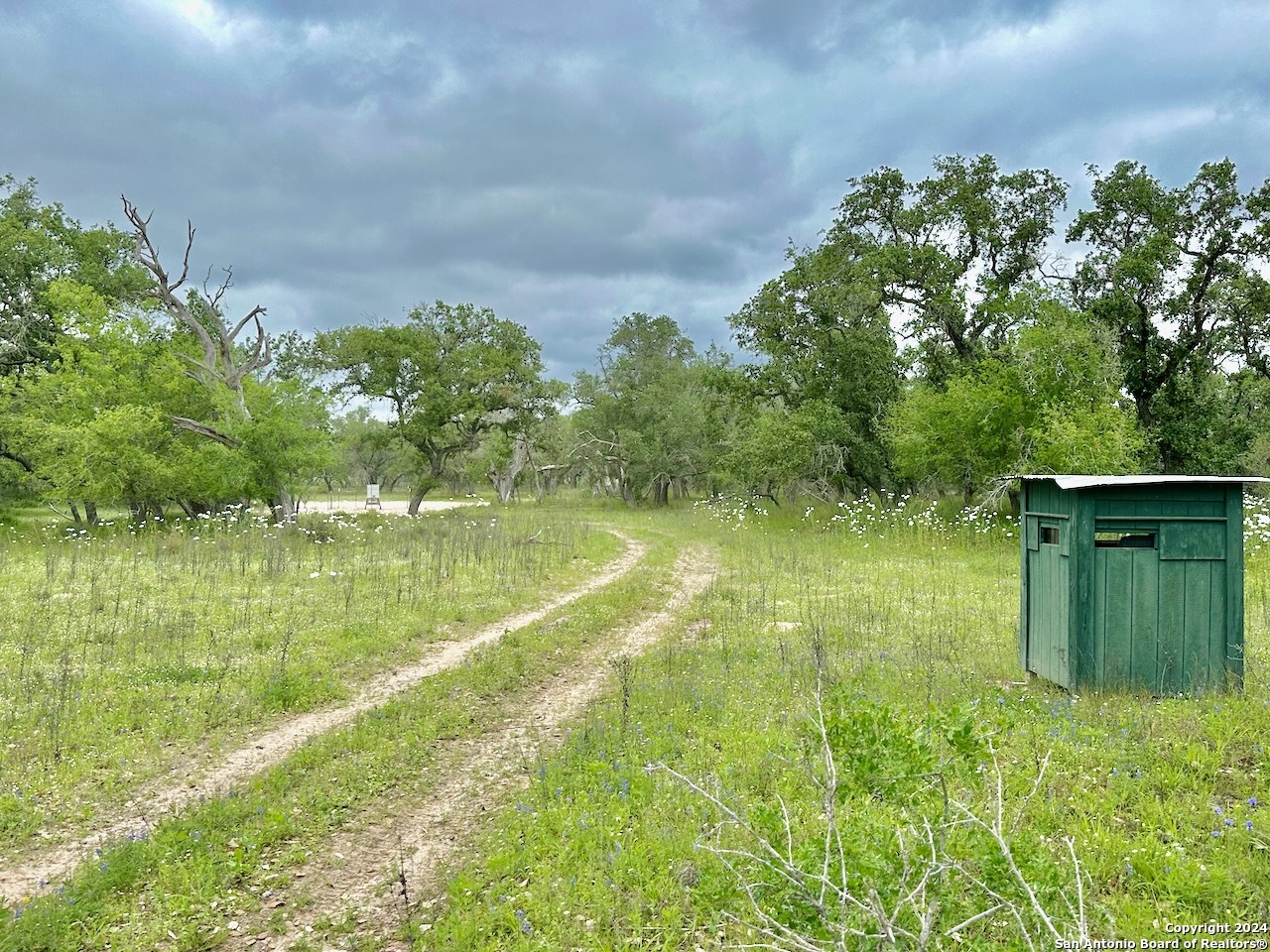 177.9 Ac Cr 7711 Devine TX 78016