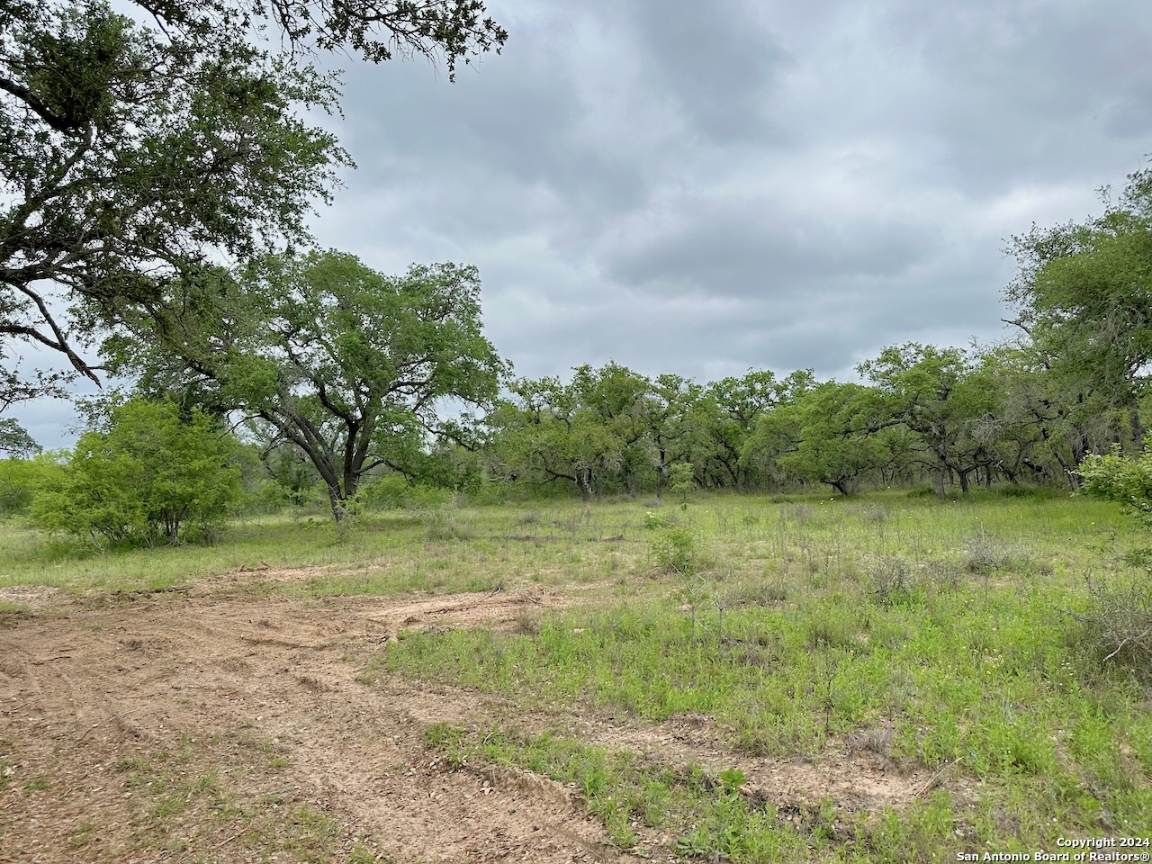 177.9 Ac Cr 7711 Devine TX 78016