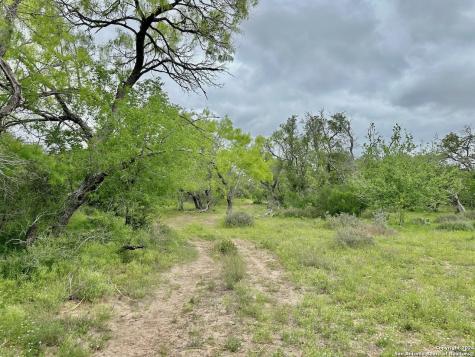 177.9 Ac Cr 7711 Devine TX 78016