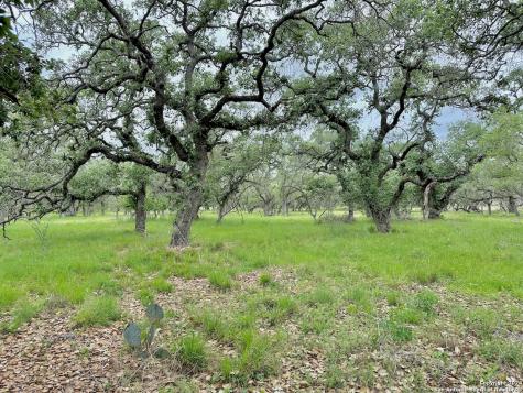 177.9 Ac Cr 7711 Devine TX 78016