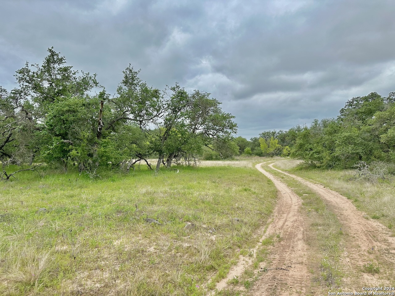 177.9 Ac Cr 7711 Devine TX 78016