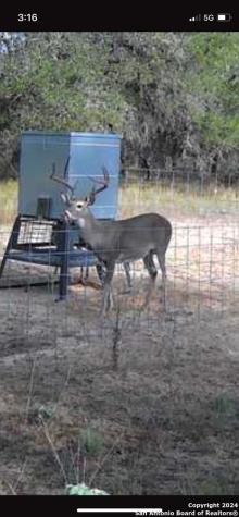 177.9 Ac Cr 7711 Devine TX 78016