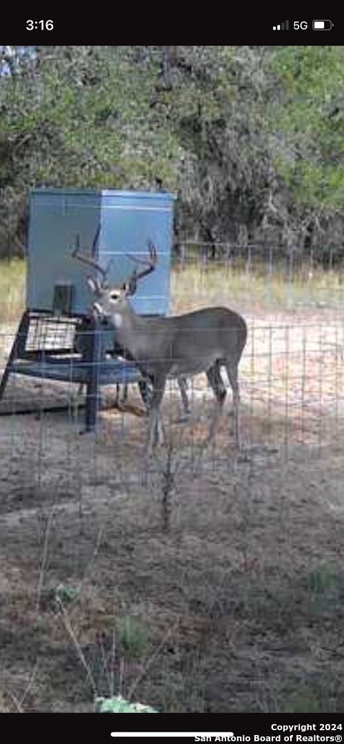 177.9 Ac Cr 7711 Devine TX 78016