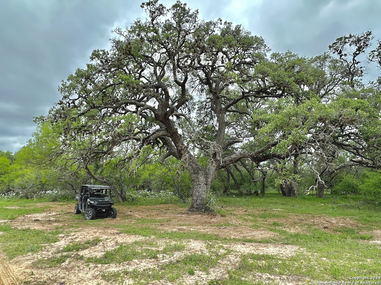 177.9 Ac Cr 7711 Devine TX 78016