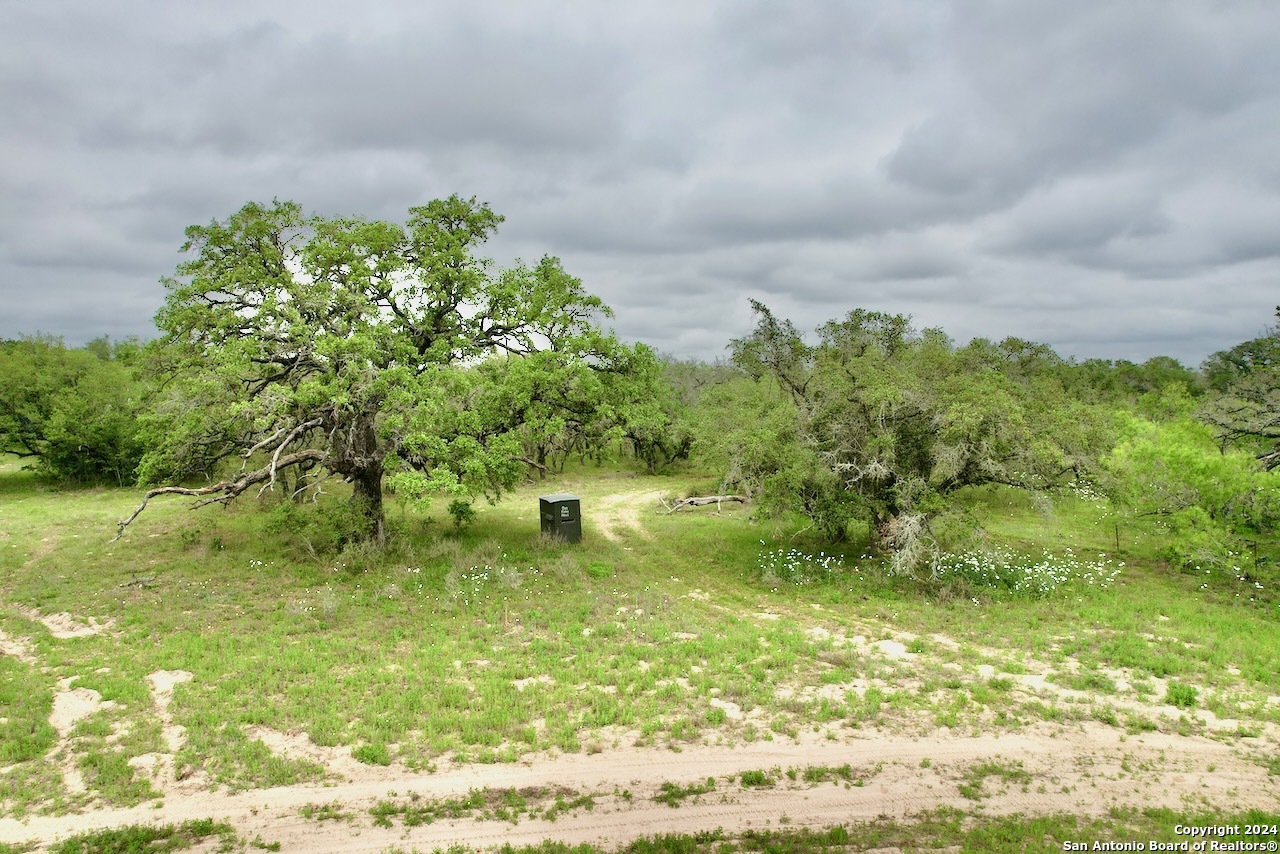 177.9 Ac Cr 7711 Devine TX 78016