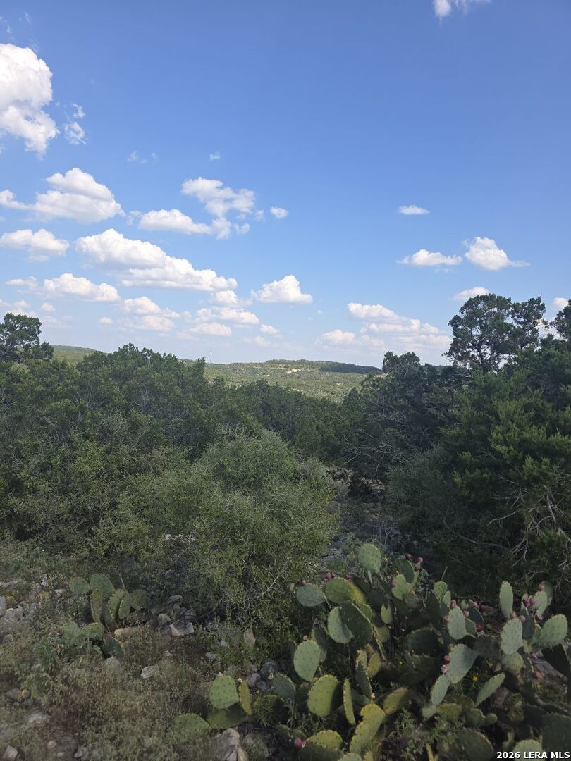 0 0 Hondo TX 78861