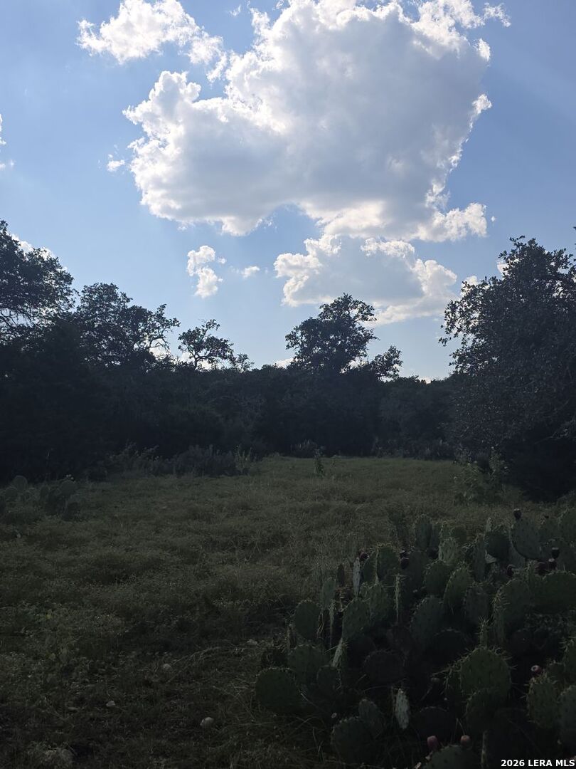 0 0 Hondo TX 78861