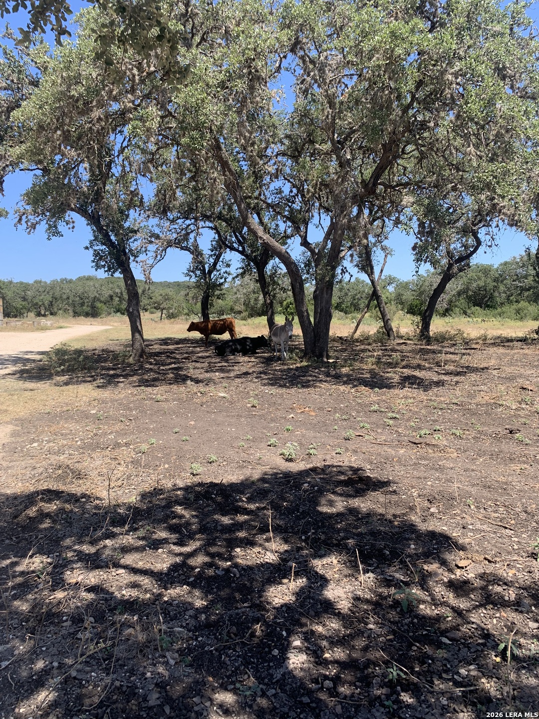 0 0 Hondo TX 78861