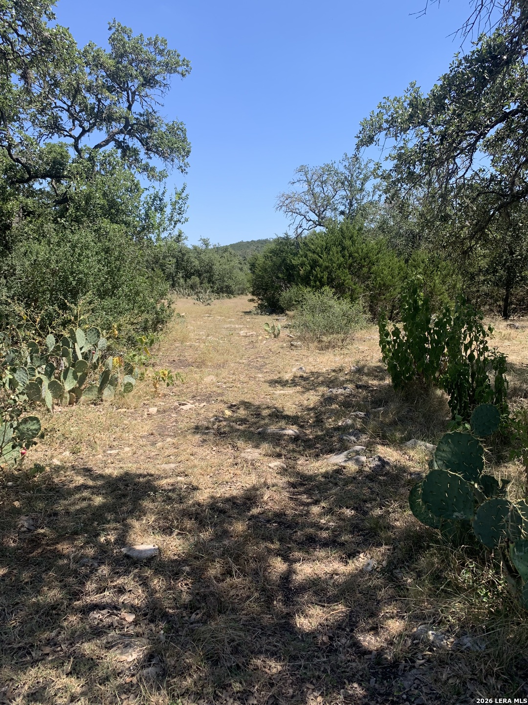 0 0 Hondo TX 78861