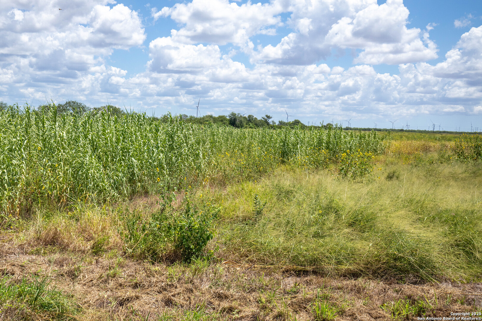 000 County Road 647 Mathis TX 78368