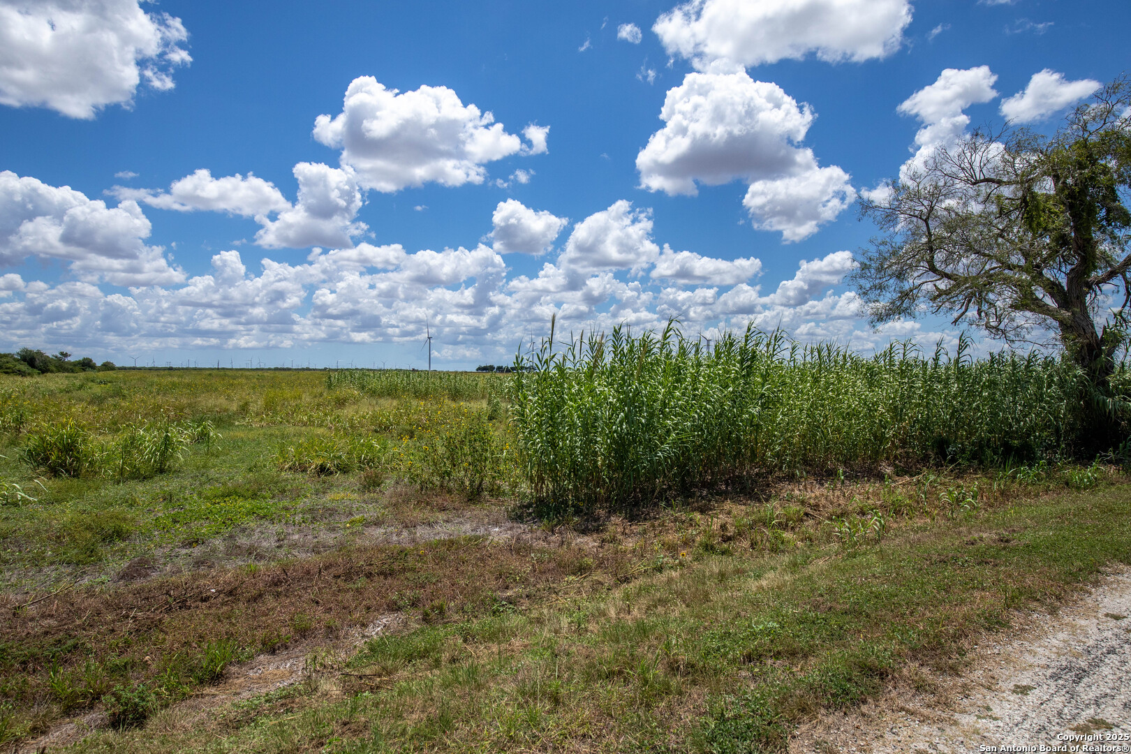 000 County Road 647 Mathis TX 78368