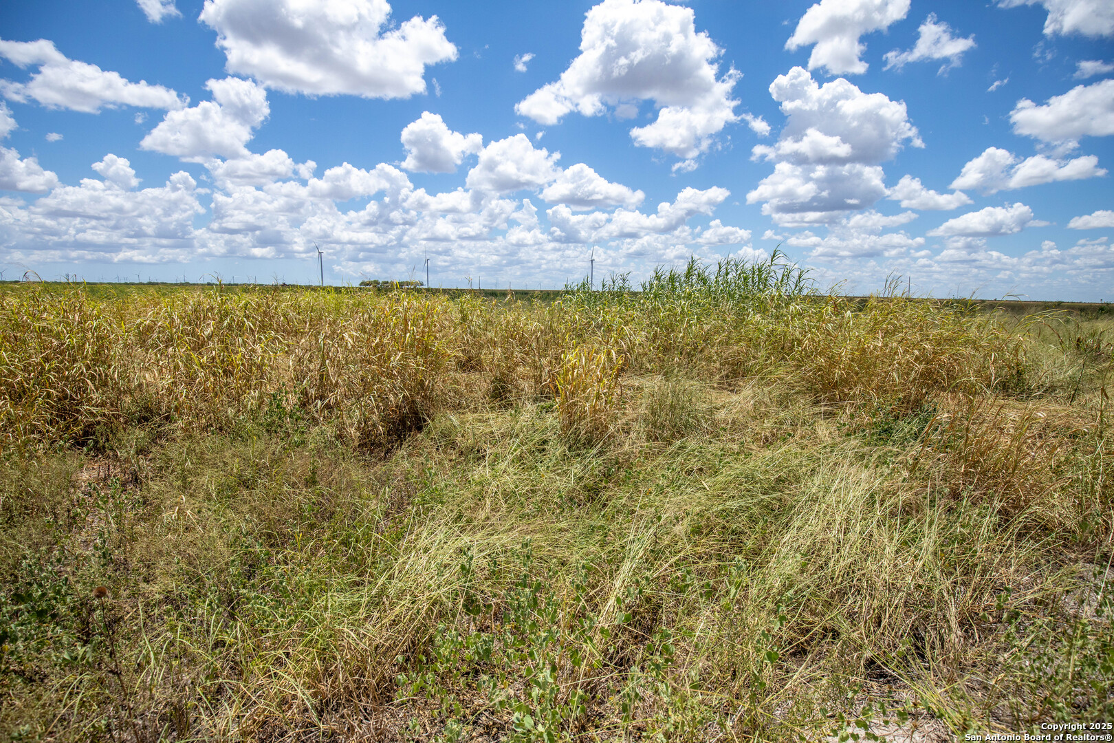 000 County Road 647 Mathis TX 78368