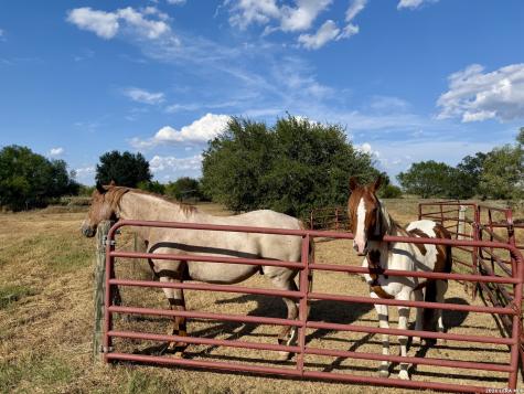 2710 N State Highway 80 Nixon TX 78140