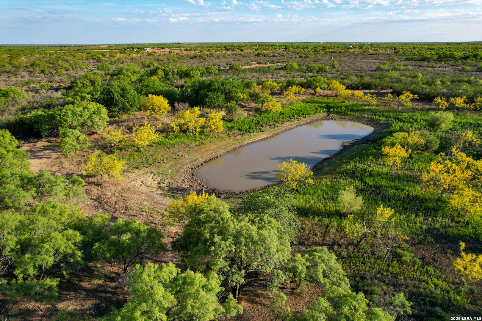 3472 Wilson Road Carrizo Springs TX 78834