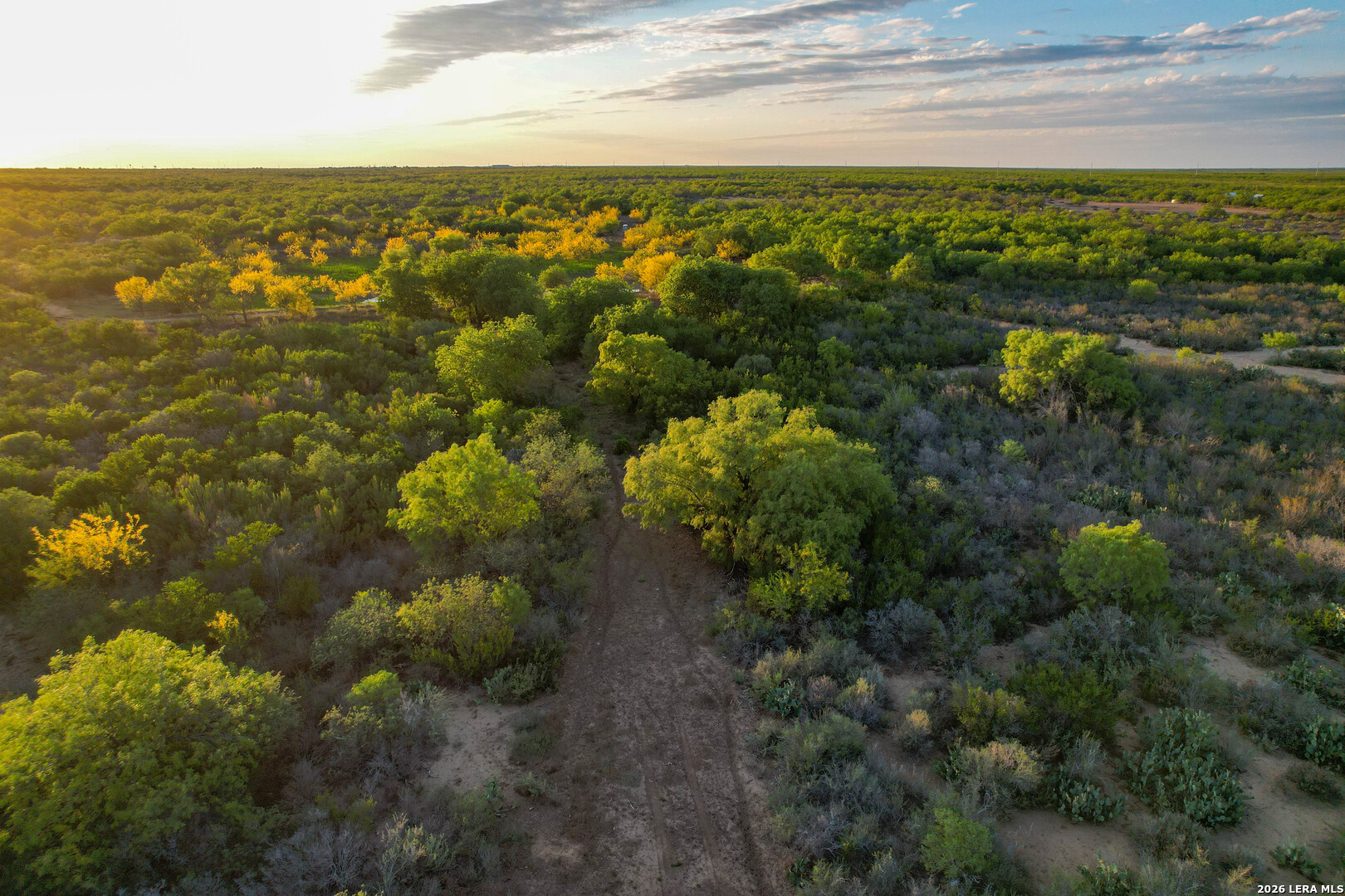 3472 Wilson Road Carrizo Springs TX 78834