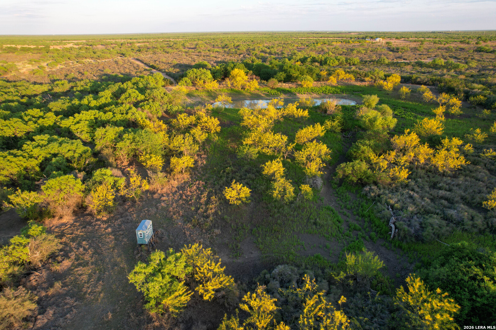 3472 Wilson Road Carrizo Springs TX 78834