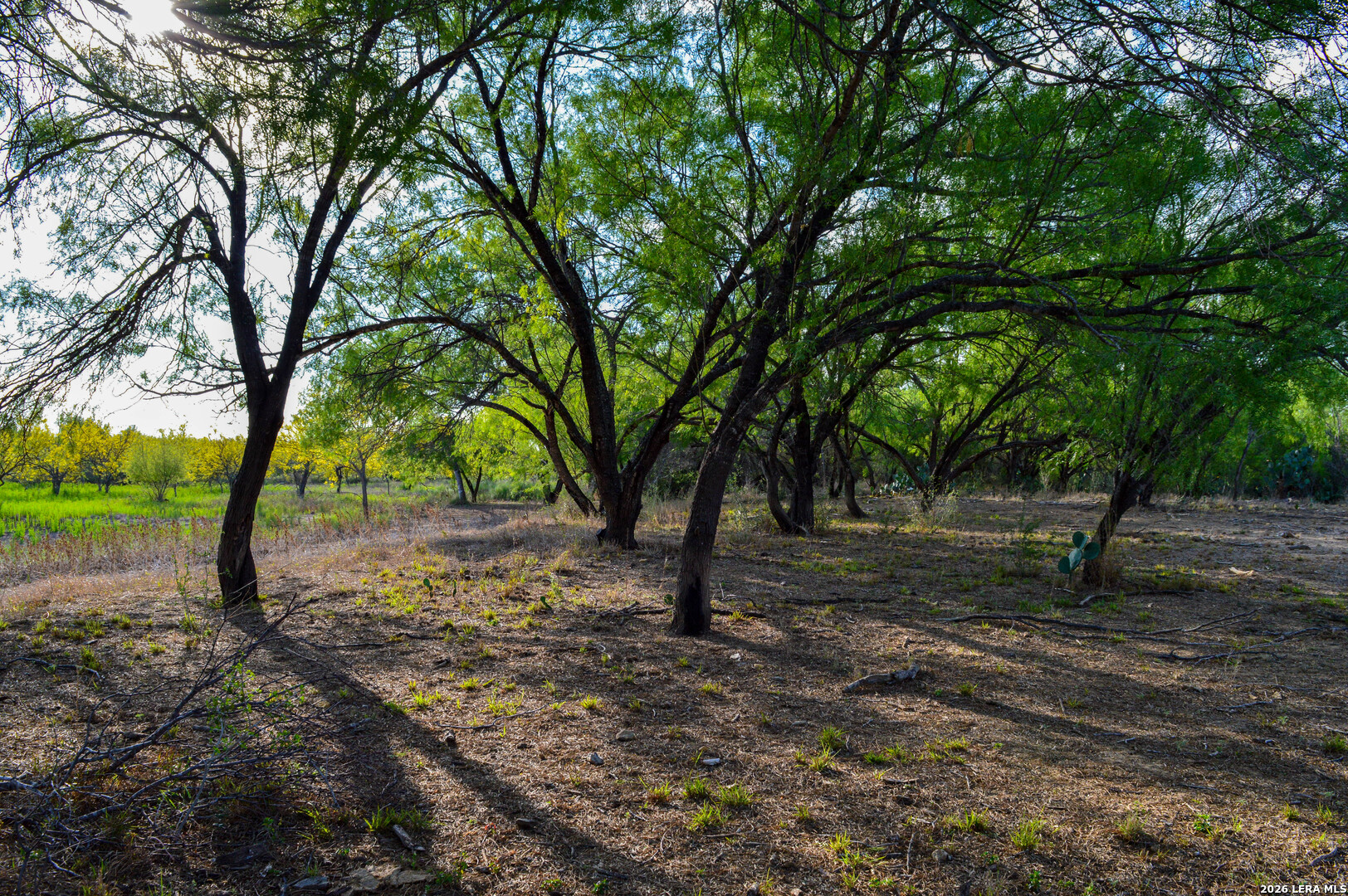 3472 Wilson Road Carrizo Springs TX 78834