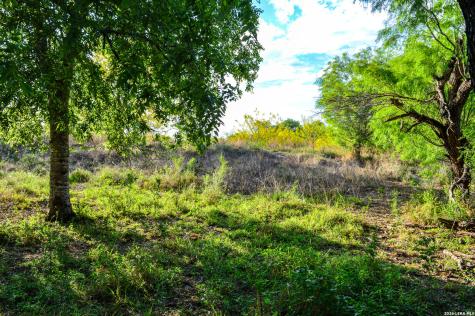 3472 Wilson Road Carrizo Springs TX 78834