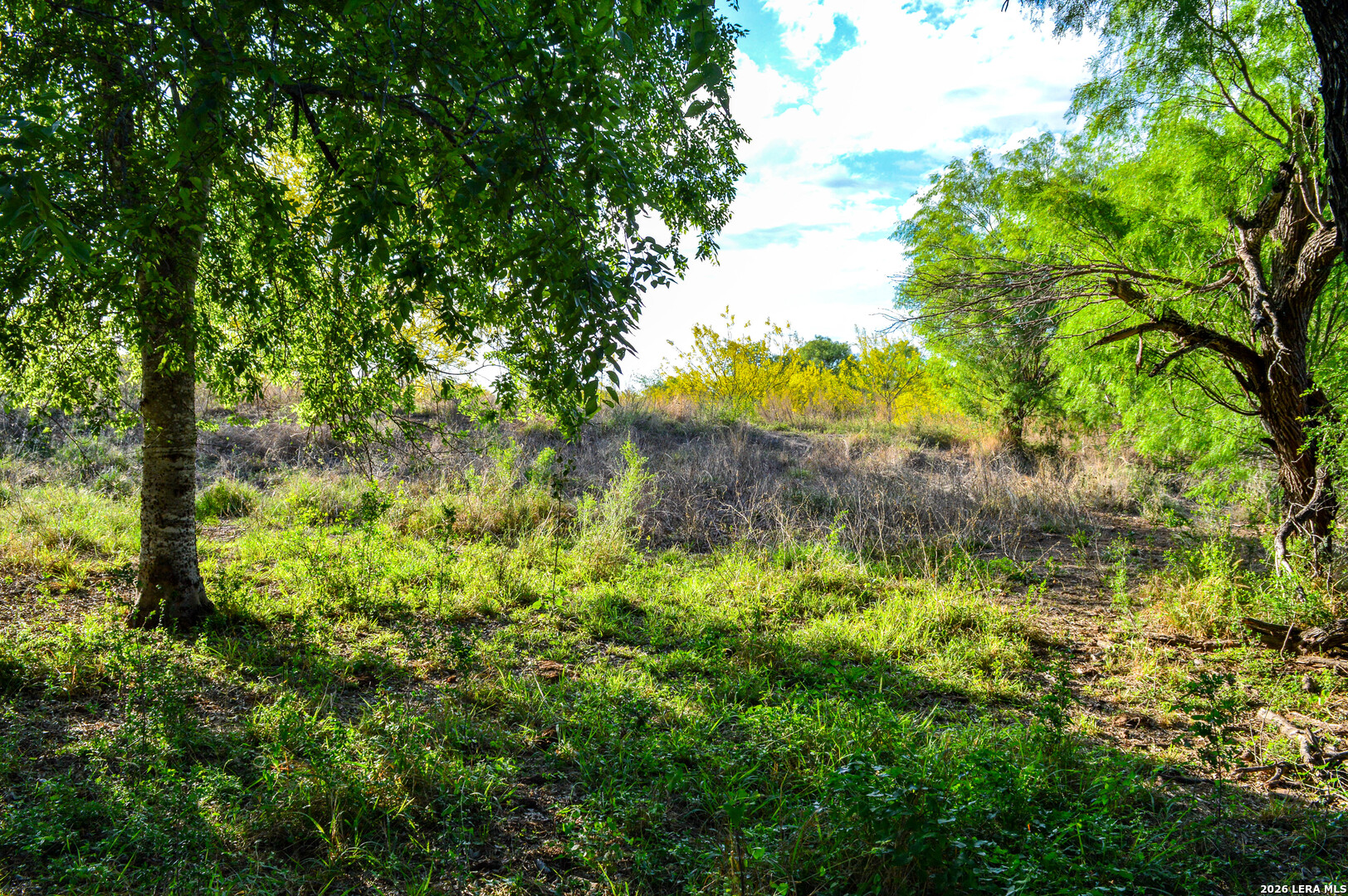 3472 Wilson Road Carrizo Springs TX 78834