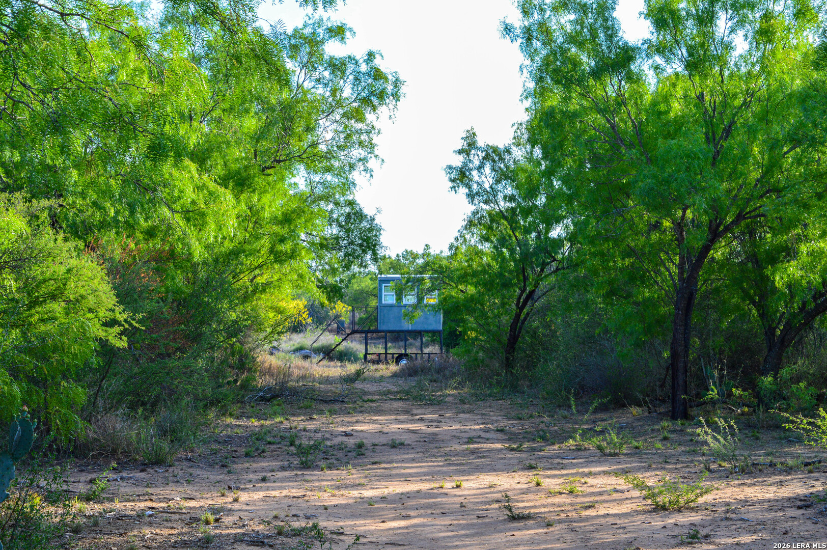 3472 Wilson Road Carrizo Springs TX 78834