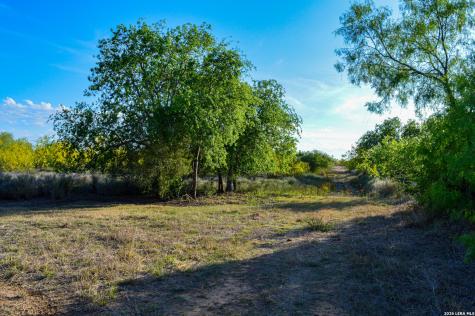 3472 Wilson Road Carrizo Springs TX 78834