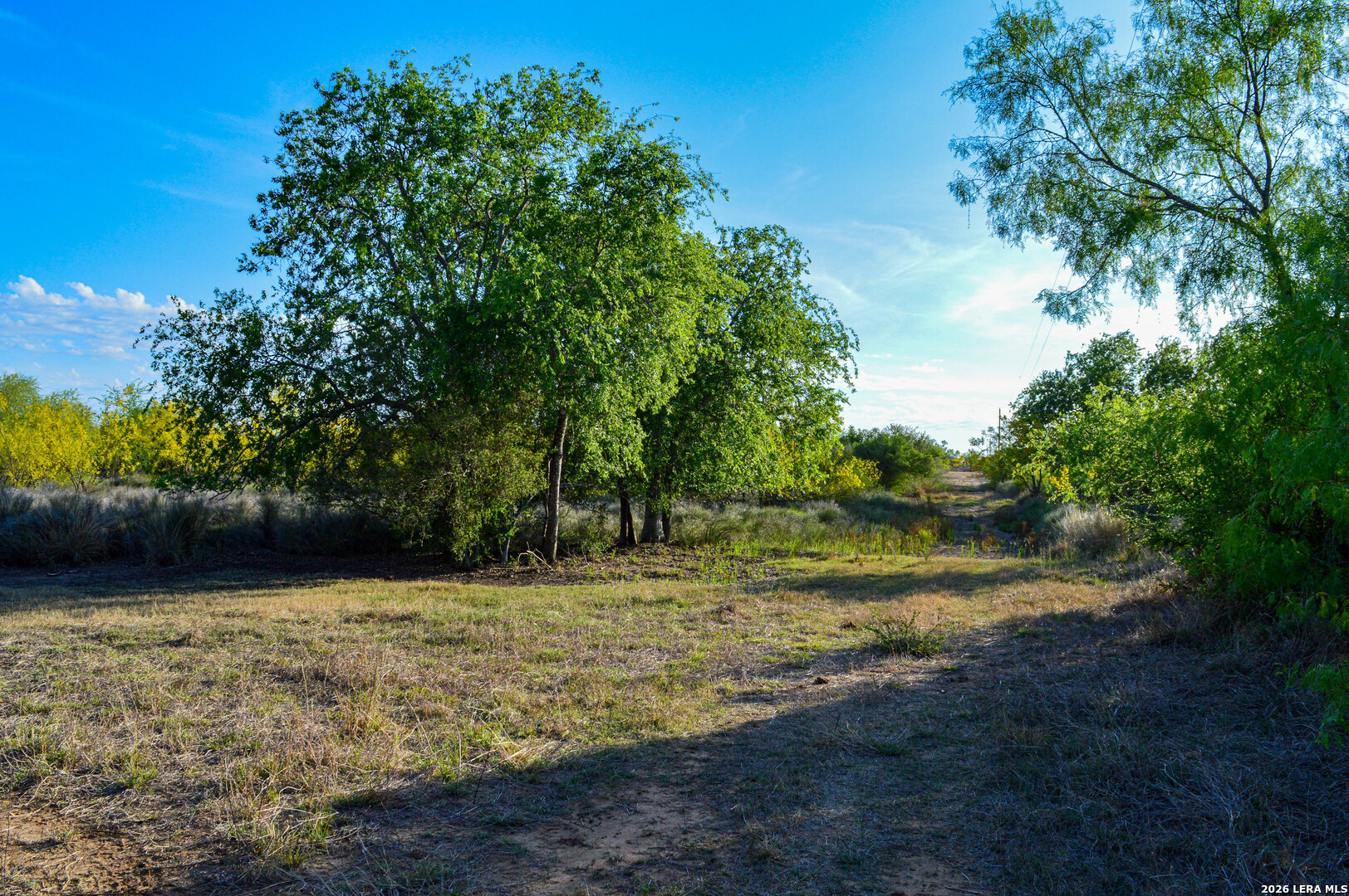 3472 Wilson Road Carrizo Springs TX 78834