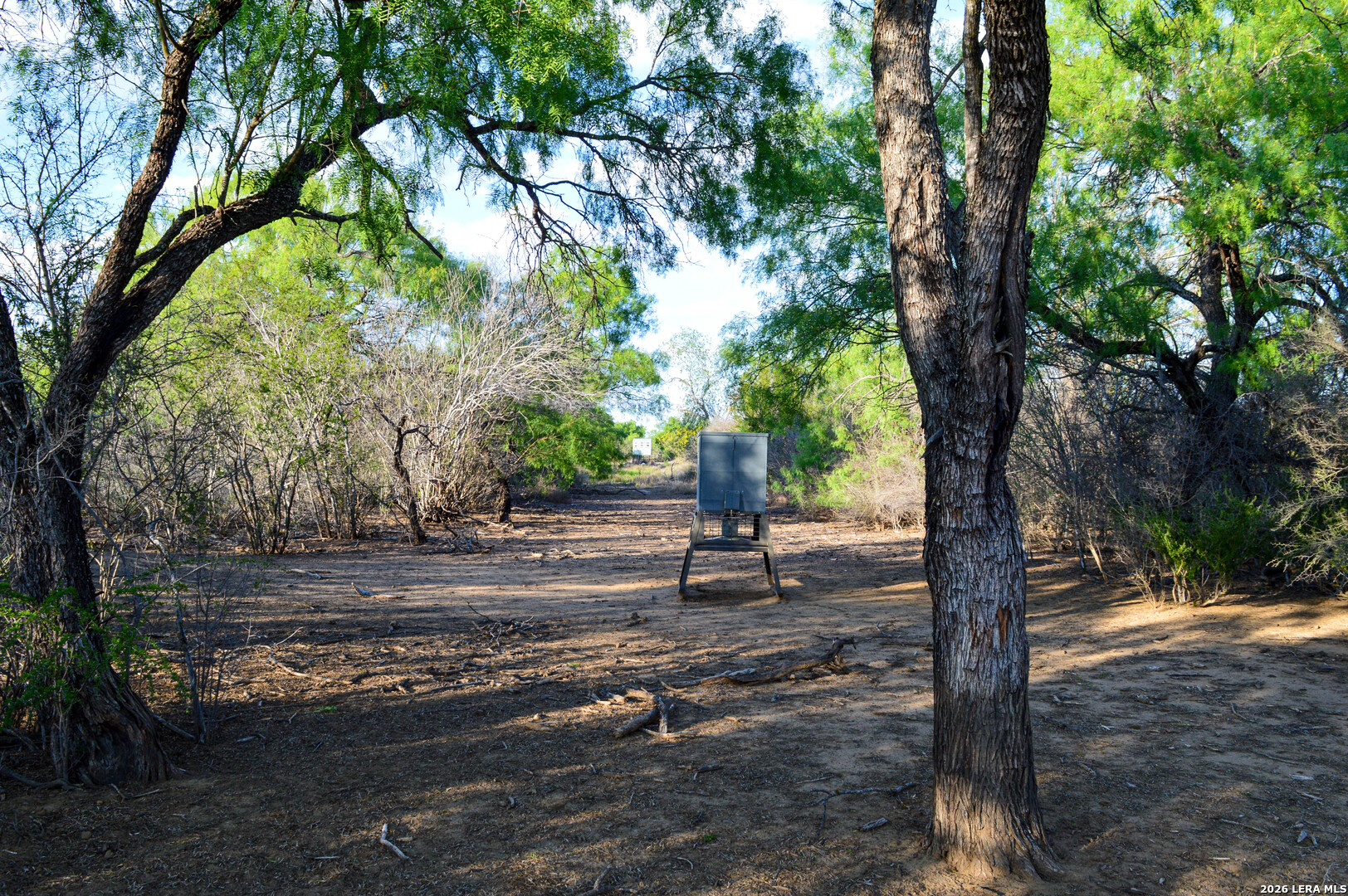 3472 Wilson Road Carrizo Springs TX 78834