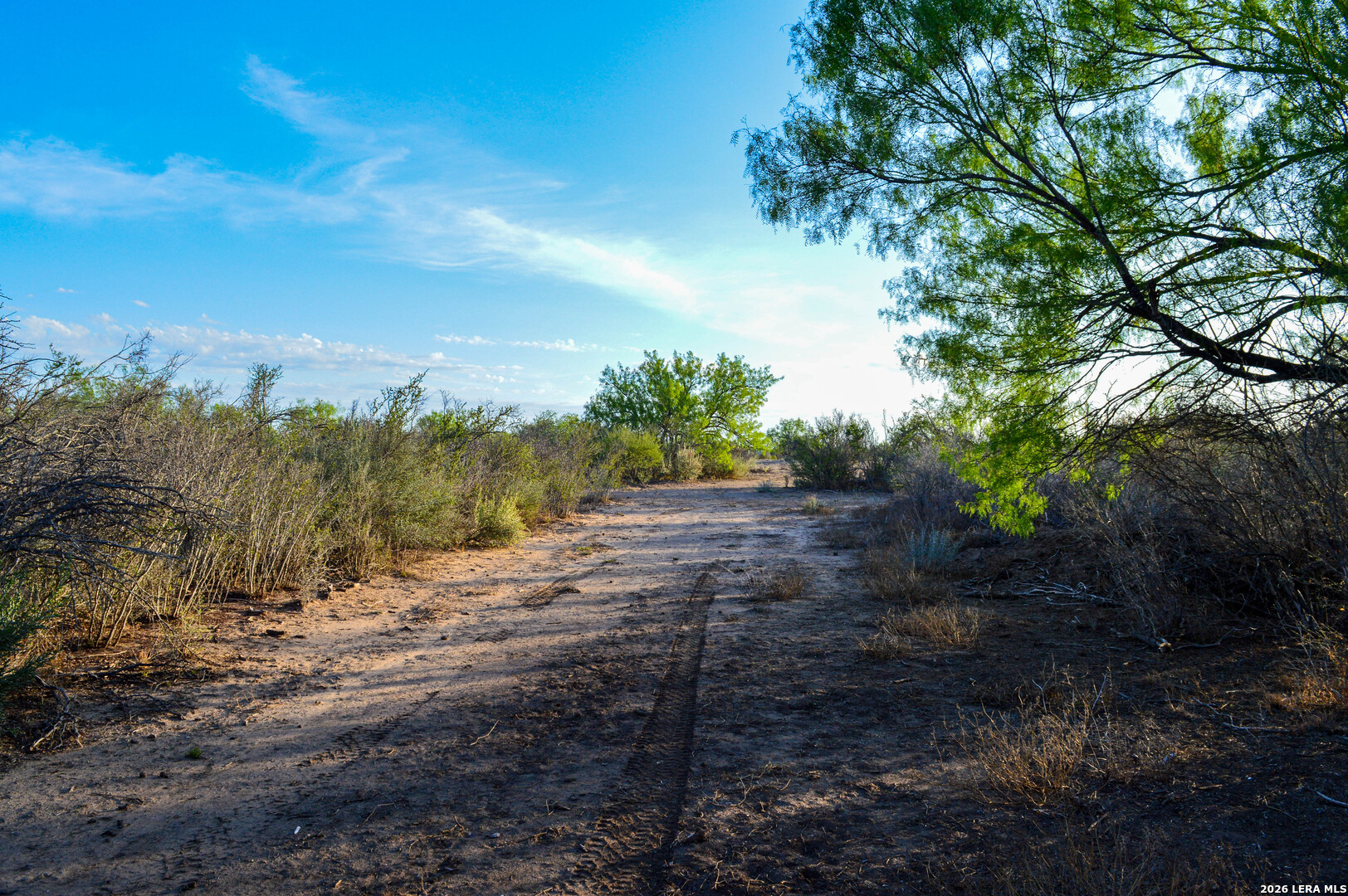 3472 Wilson Road Carrizo Springs TX 78834