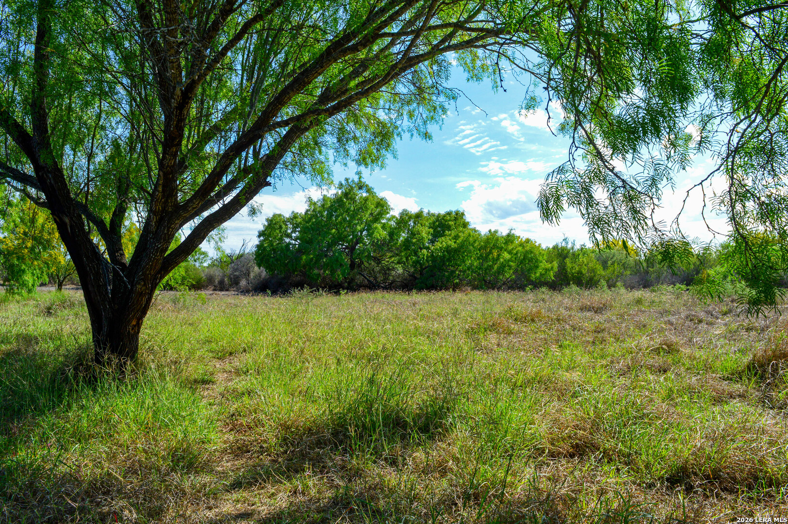 3472 Wilson Road Carrizo Springs TX 78834