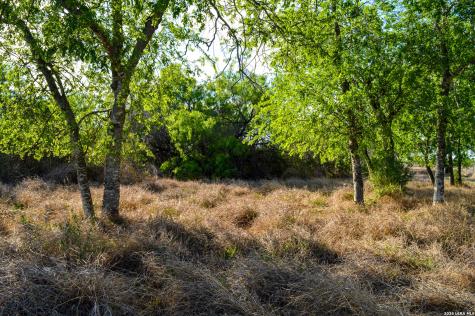 3472 Wilson Road Carrizo Springs TX 78834