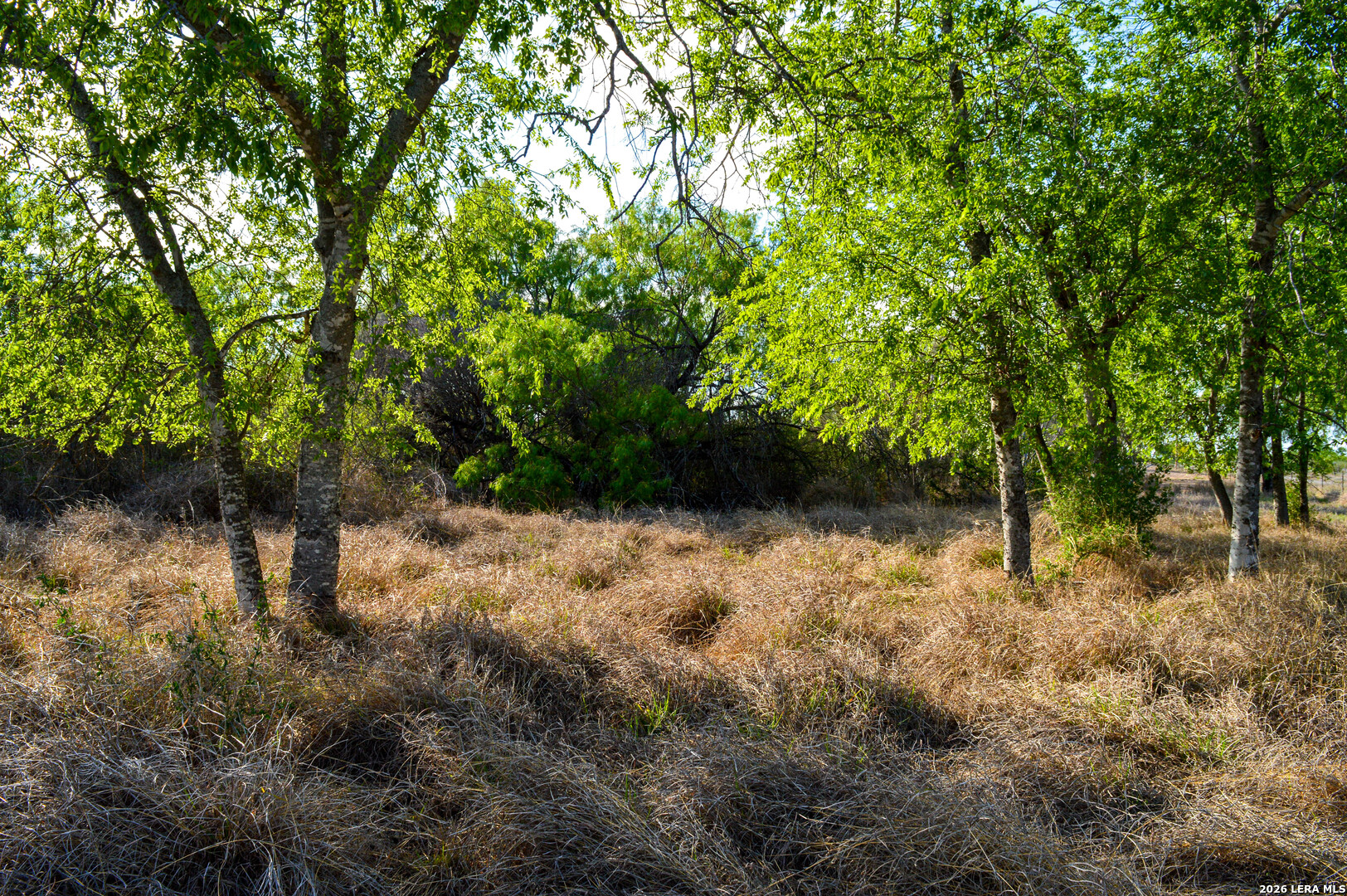 3472 Wilson Road Carrizo Springs TX 78834