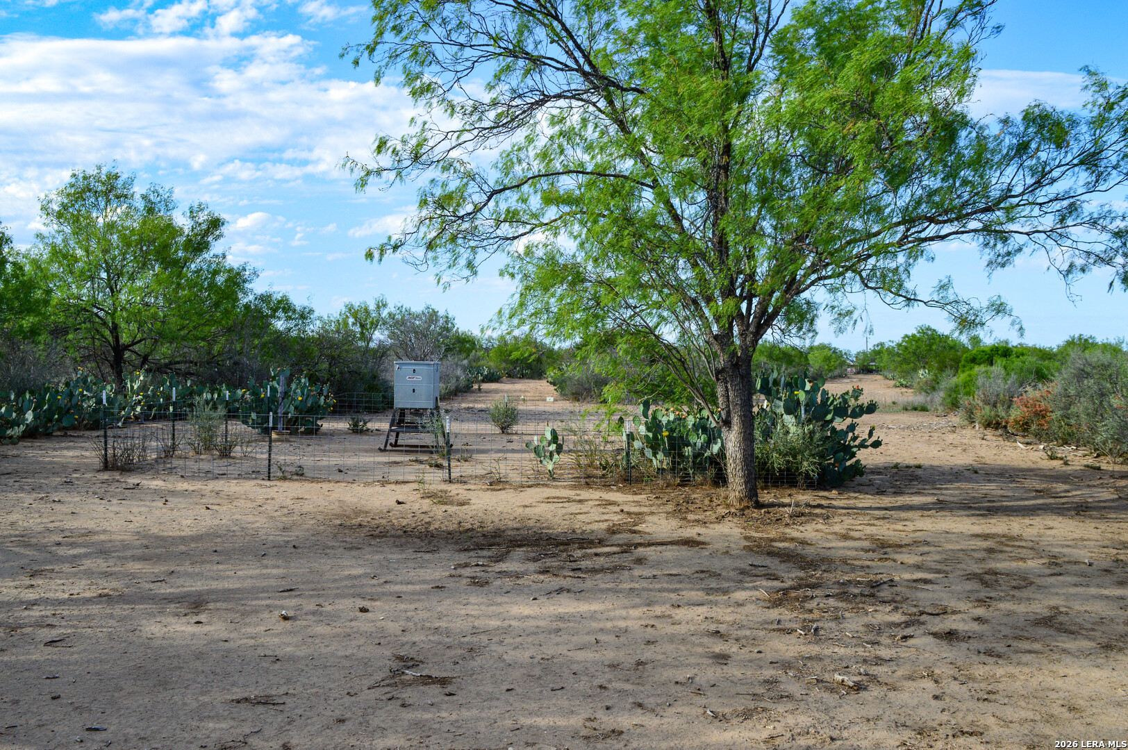 3472 Wilson Road Carrizo Springs TX 78834