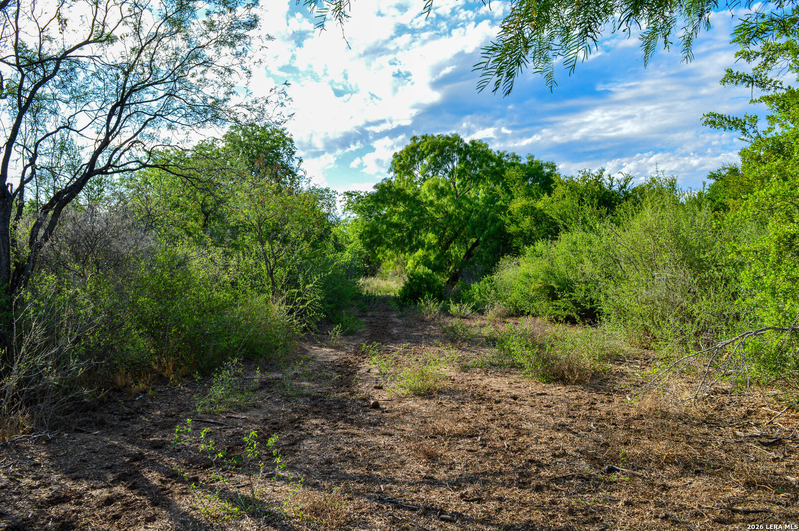 3472 Wilson Road Carrizo Springs TX 78834