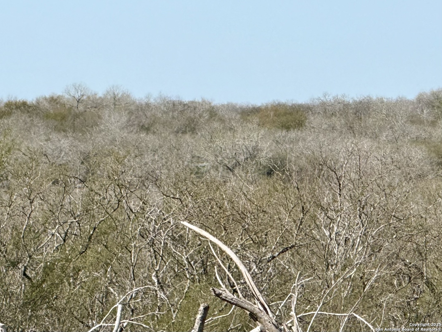 0 Cr 148 Kenedy TX 78119