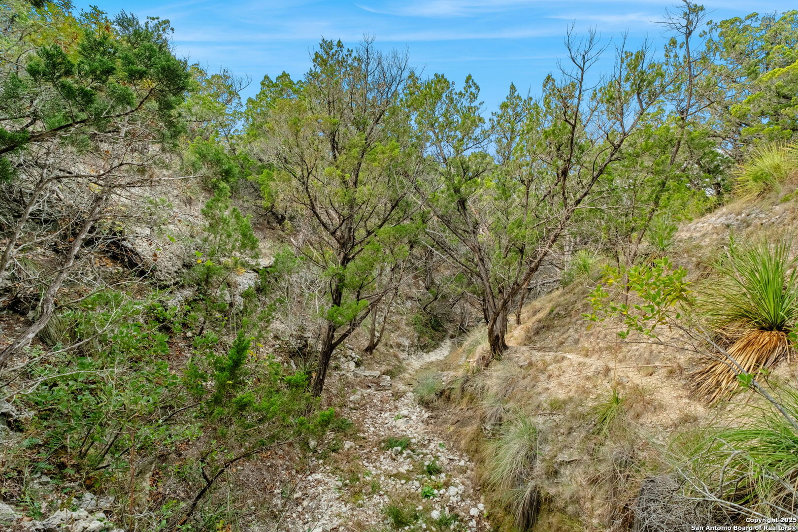 411 Valley View Pipe Creek TX 78063