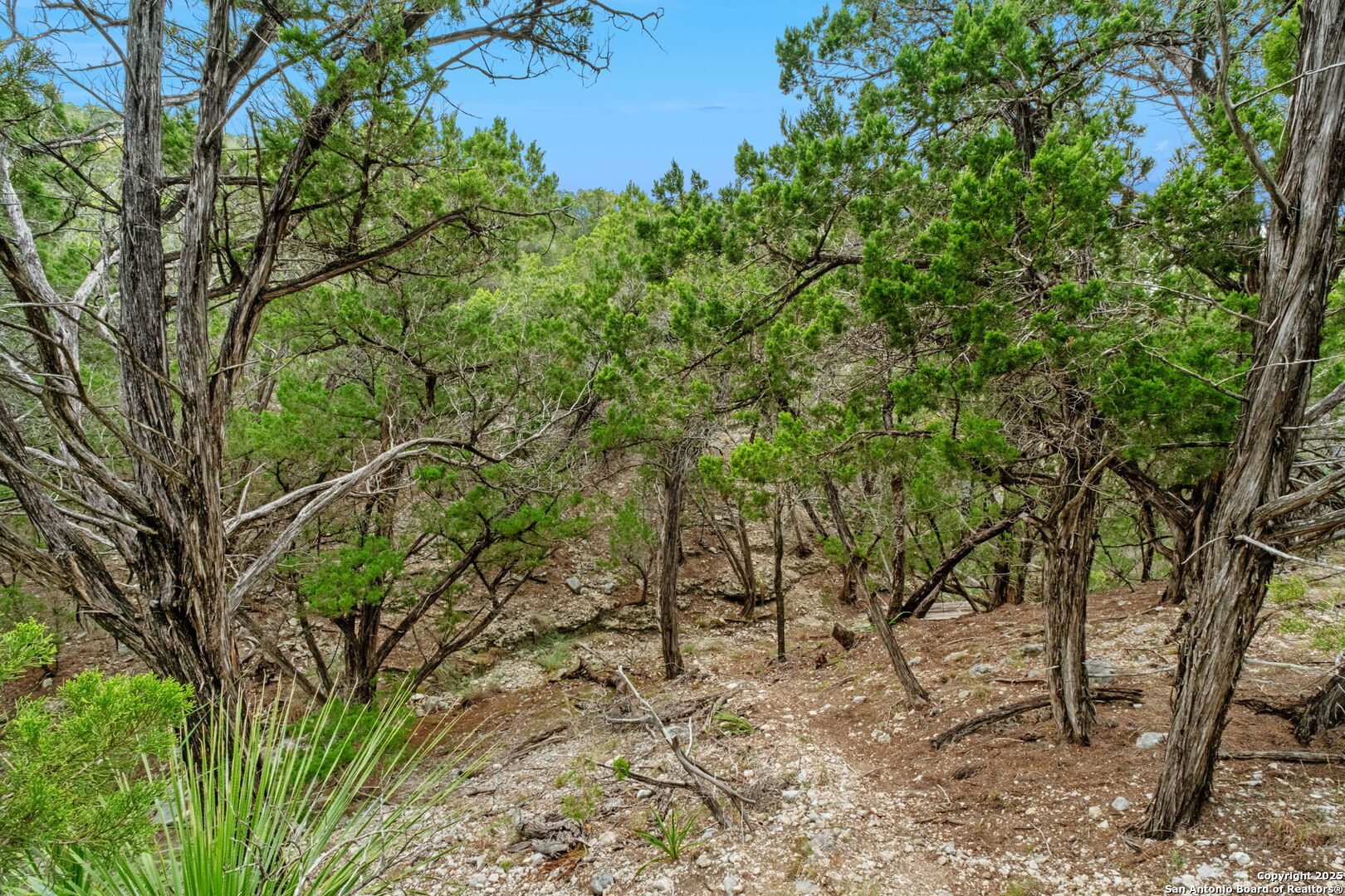 411 Valley View Pipe Creek TX 78063