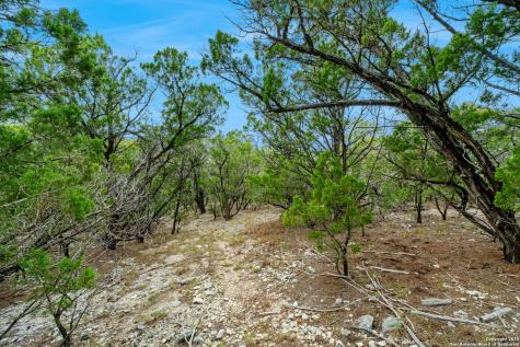 411 Valley View Pipe Creek TX 78063
