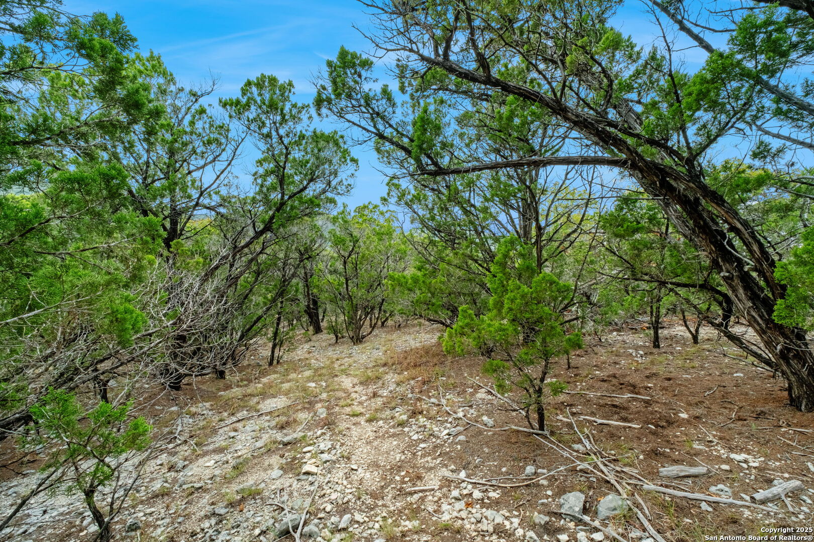 411 Valley View Pipe Creek TX 78063